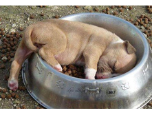 ����� ��������, ��� �� �������))))