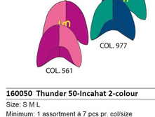 ����� ���� 1029�