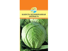 ������� ������������ ������ F1_28.20+%