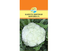 ������� ������� ������� F1_31.00+%