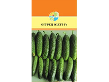 ������ ����� F1_27.60+%