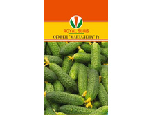 ������ ��������� F1_42.00+%