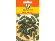 ������ ����� F1_36.00+%