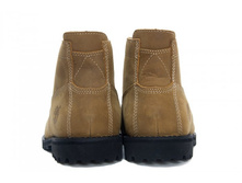 ���. ����