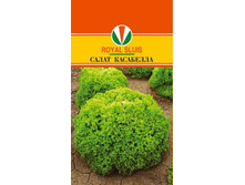 ����� ���������_20.00+%