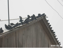 ������������