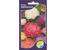 ����� ������������_9.00+%