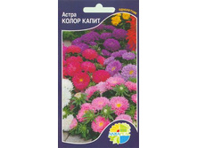 ����� ����� �����_8.50+%