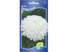 ����� ������ �����_10.00+%