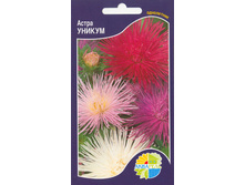 ����� ������_9.00+%