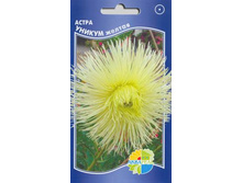 ����� ������ ������_9.00+%