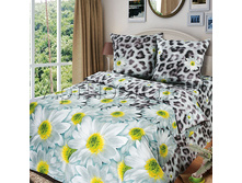 �������� ���