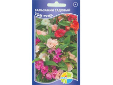 ��������� ������� ��� ����_8.50+%