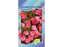 ��������� ������� ������ ������ ������_14,20+%