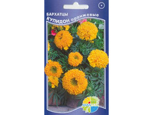 �������� ������� ���������_7.60+%