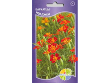 �������� ��� ����_7.80+%