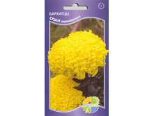 �������� ���� ��������_8.80+%