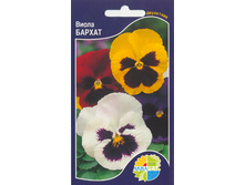 ����� ������_12.00+%