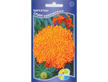 �������� ���� ���������_8.80+%