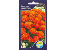 �������� ��������_8.80+%