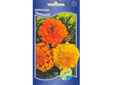 �������� �������_8.80+%