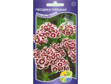 �������� �������� ������� �����_8.80+%