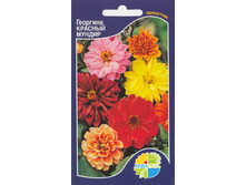 �������� ������� ������_9.90+%