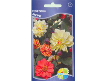 �������� ����_12.00+%