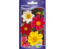 �������� ������� ������_9,90+%