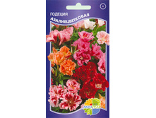 ������� ���������������_8.40+%