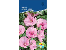 ������� ������ ����_8.40+%