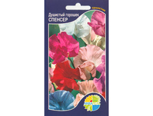 �������� ������� �������_9.60+%