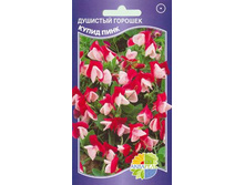 �������� ������� ����� ����_9.00+%