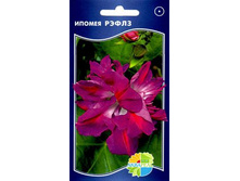 ������ ������_12.60+%