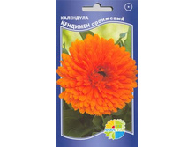 ��������� �������� ���������_9.00+%