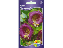 ����� ����������_12.00+%