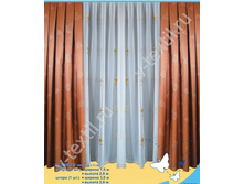 �������� ����  ������  �������.jpg