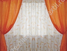 �������� ����  �����  �����.jpeg