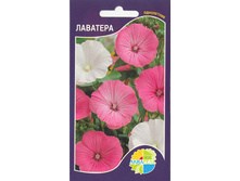 ��������_8.90+%