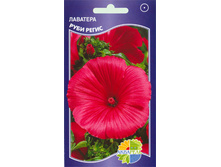 �������� ���� �����_9.20+%