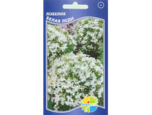 ������� ����� ����_13.80+%