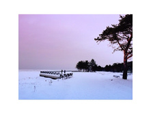 ����� ����