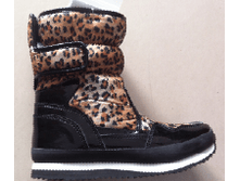RC825-2 LEOPARD.png