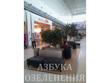 2013-10-31 12.43.19-2.jpg