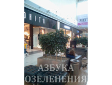 2013-10-31 12.43.42-2.jpg