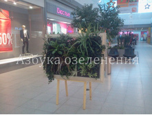 2013-12-24 10.13.11.jpg