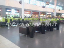 2013-12-24 10.18.22.jpg