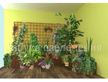 ������� ������ 1.jpg