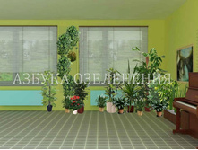 �������� 3.jpg