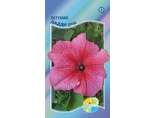 ������� ����� ���_12.80+%